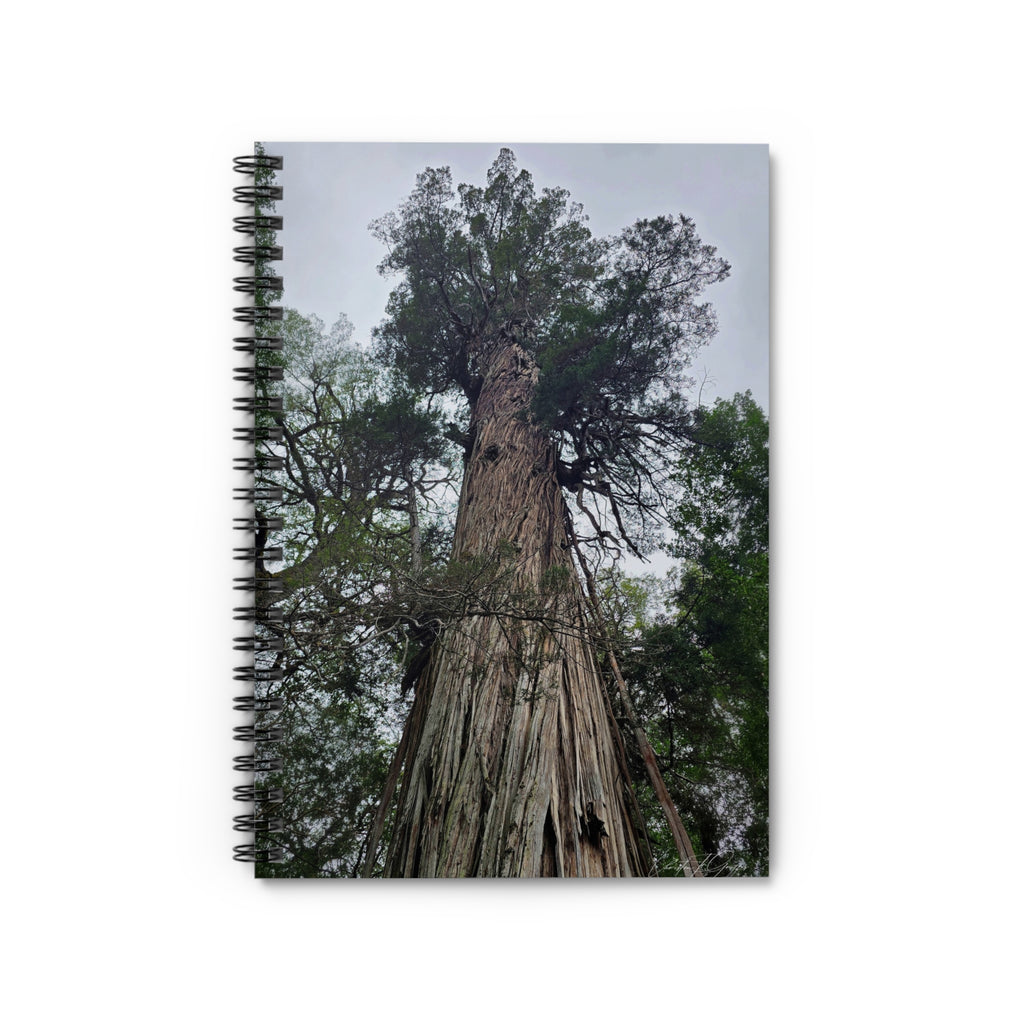 El Abuelo Spiral Notebook