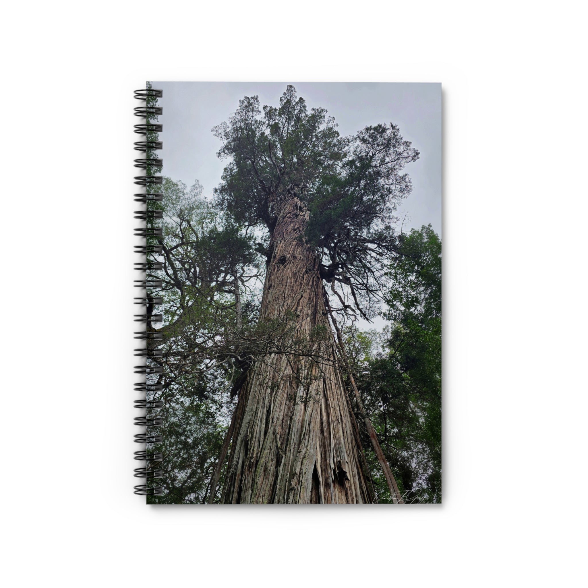 El Abuelo Spiral Notebook