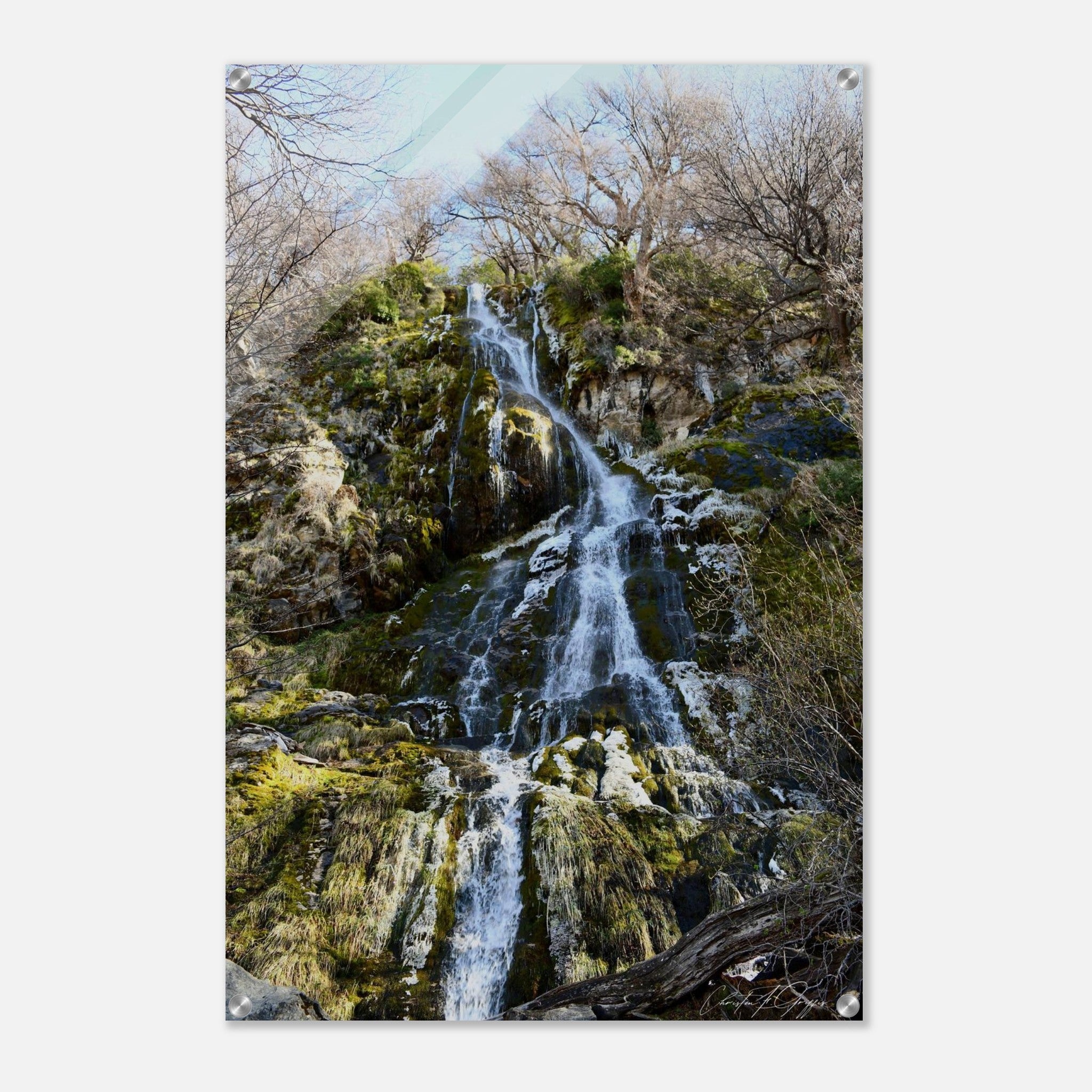 73220684-edb8-4095-acbc-5ab401001c21