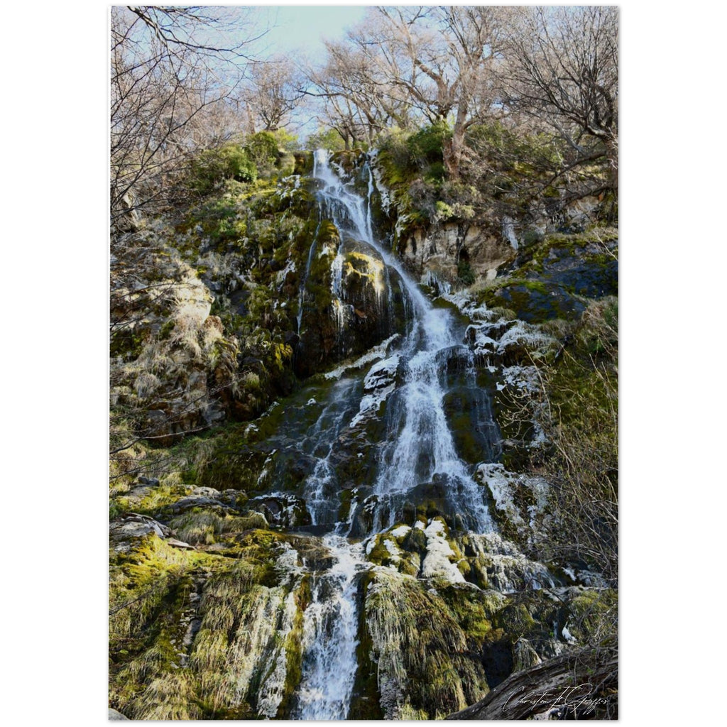 79957bfa-da82-4b49-9cbc-c8d67d2ee4da