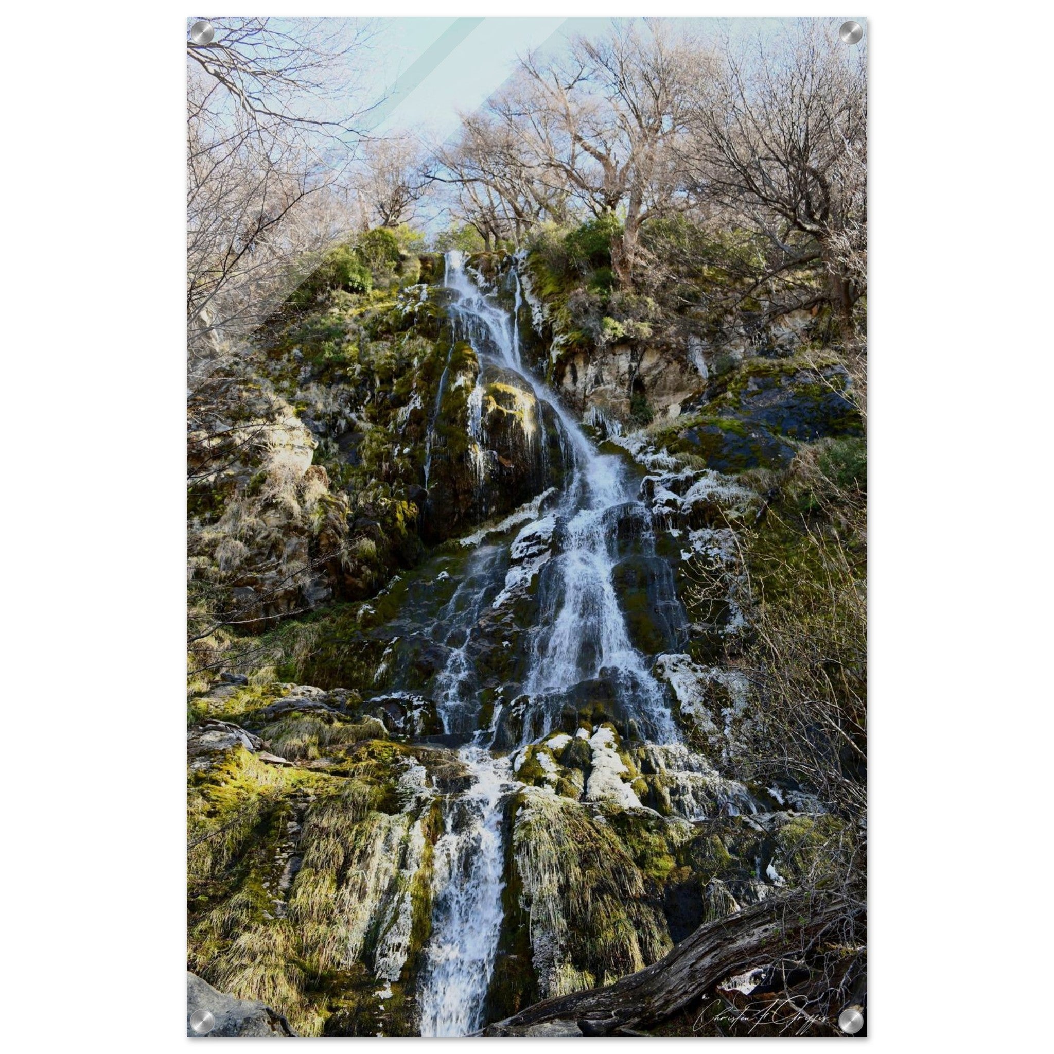 c7f8e076-e332-4c5a-957a-44ca853e7a59