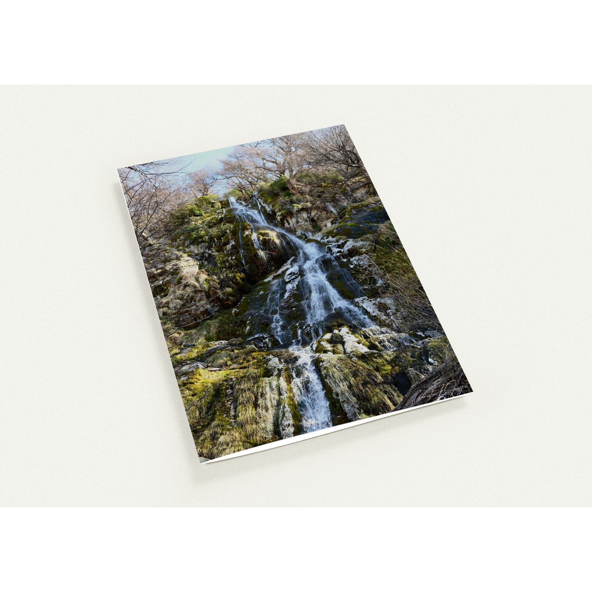 fc2340f3-000b-460f-a728-574419214146